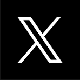 x logo